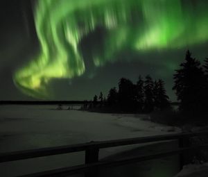 Preview wallpaper northern lights, night, winter, trees, snow