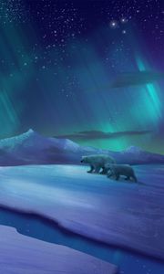 Preview wallpaper northern lights, polar bears, bears, ice, cranny, art