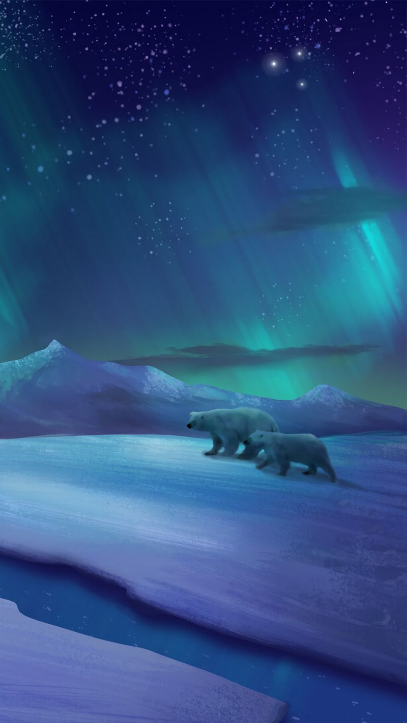 Polar bears, bear, winter, infinix, faizicreation, HD phone wallpaper |  Peakpx