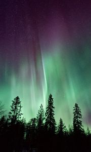 Preview wallpaper northern lights, sky, night, stars, trees