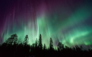 Preview wallpaper northern lights, sky, night, stars, trees