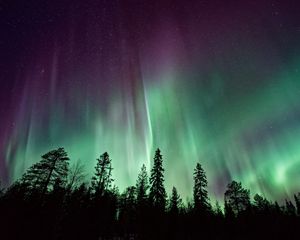 Preview wallpaper northern lights, sky, night, stars, trees