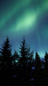 Preview wallpaper northern lights, spruce, trees, night