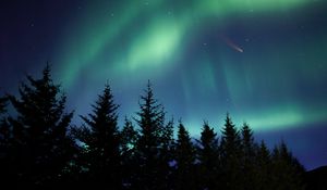 Preview wallpaper northern lights, spruce, trees, night