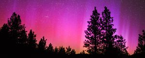 Preview wallpaper northern lights, starry sky, night, trees