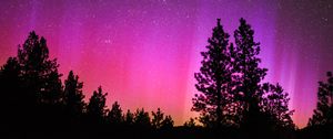 Preview wallpaper northern lights, starry sky, night, trees