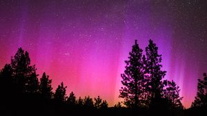 Preview wallpaper northern lights, starry sky, night, trees