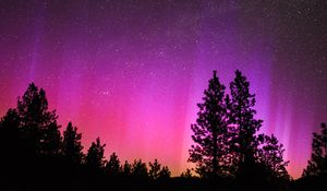 Preview wallpaper northern lights, starry sky, night, trees