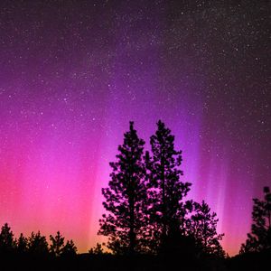 Preview wallpaper northern lights, starry sky, night, trees