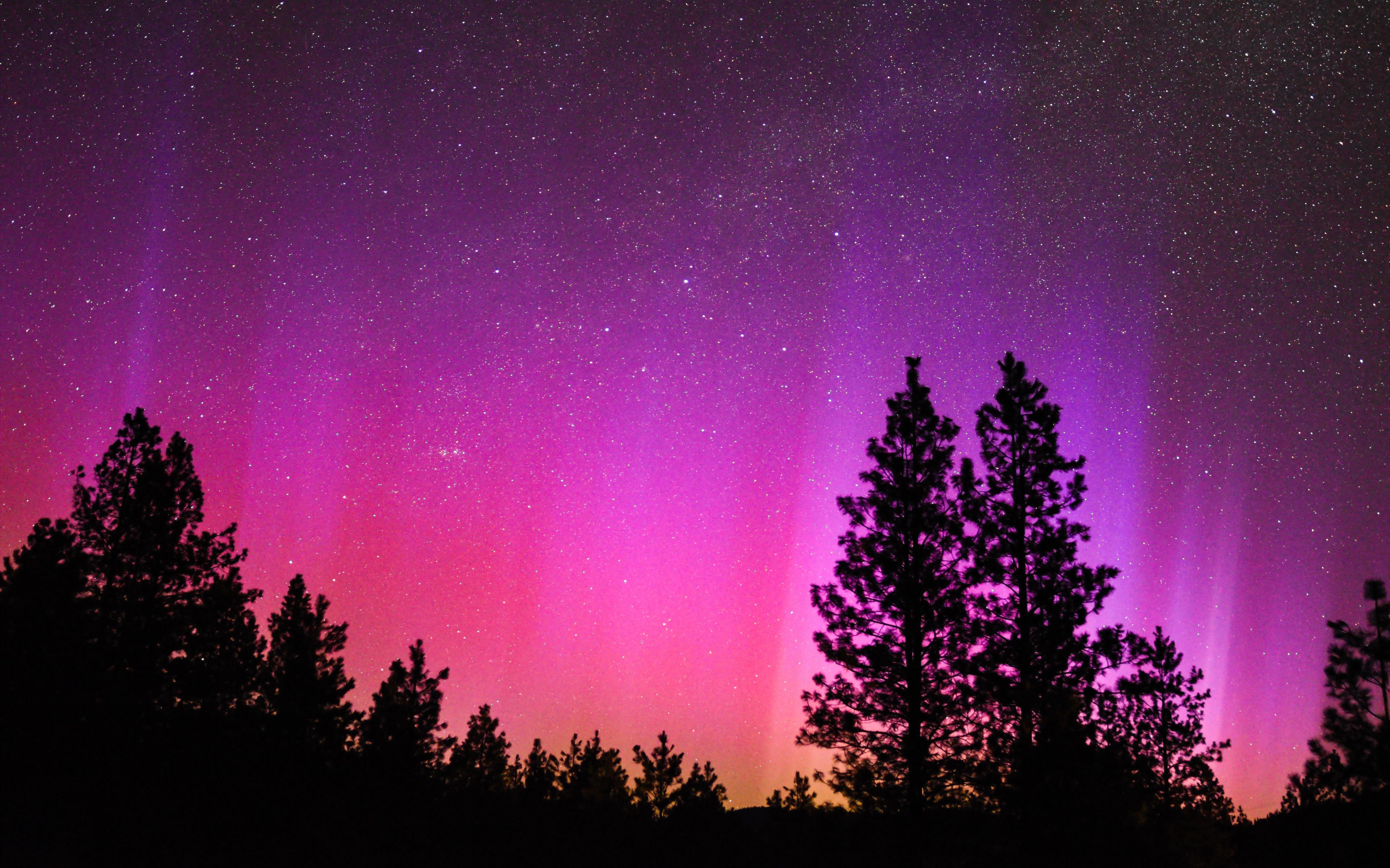 Download wallpaper 3840x2400 northern lights, starry sky, night, trees ...