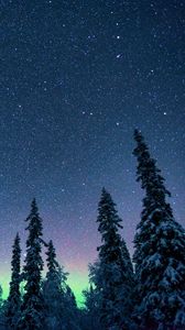 Preview wallpaper northern lights, starry sky, trees