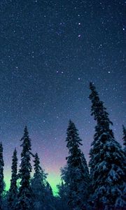 Preview wallpaper northern lights, starry sky, trees