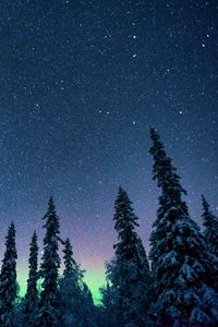 Preview wallpaper northern lights, starry sky, trees