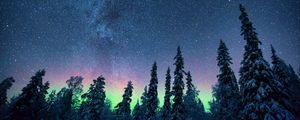 Preview wallpaper northern lights, starry sky, trees