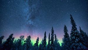 Preview wallpaper northern lights, starry sky, trees