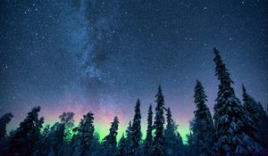 Preview wallpaper northern lights, starry sky, trees