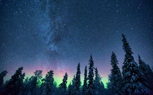 Preview wallpaper northern lights, starry sky, trees