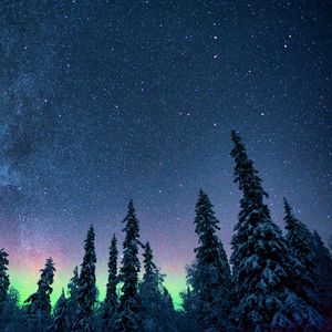 Preview wallpaper northern lights, starry sky, trees