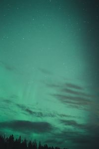 Preview wallpaper northern lights, starry sky, trees, night