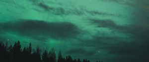 Preview wallpaper northern lights, starry sky, trees, night