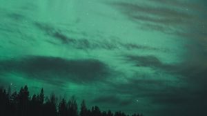 Preview wallpaper northern lights, starry sky, trees, night