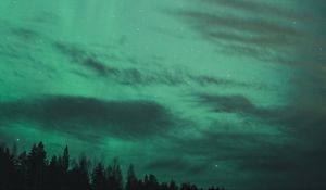 Preview wallpaper northern lights, starry sky, trees, night