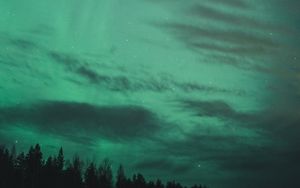 Preview wallpaper northern lights, starry sky, trees, night