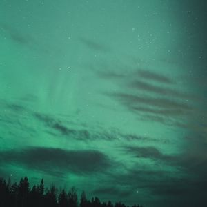 Preview wallpaper northern lights, starry sky, trees, night