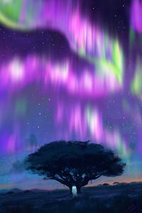 Preview wallpaper northern lights, tree, silhouette, night, dark, art