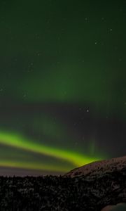 Preview wallpaper northern lights, trees, forest, snow, night