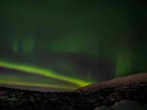 Preview wallpaper northern lights, trees, forest, snow, night
