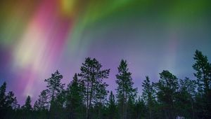 Preview wallpaper northern lights, trees, multi-colored