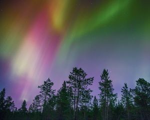 Preview wallpaper northern lights, trees, multi-colored