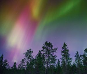 Preview wallpaper northern lights, trees, multi-colored