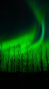 Preview wallpaper northern lights, trees, silhouette, night