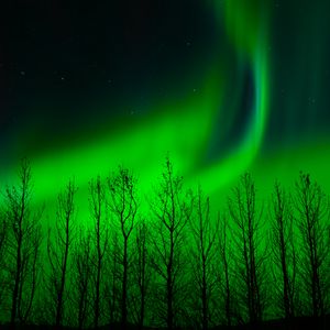 Preview wallpaper northern lights, trees, silhouette, night