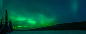 Preview wallpaper northern lights, trees, snow, winter, nature