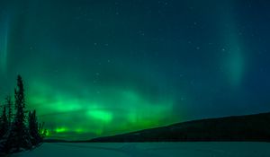 Preview wallpaper northern lights, trees, snow, winter, nature