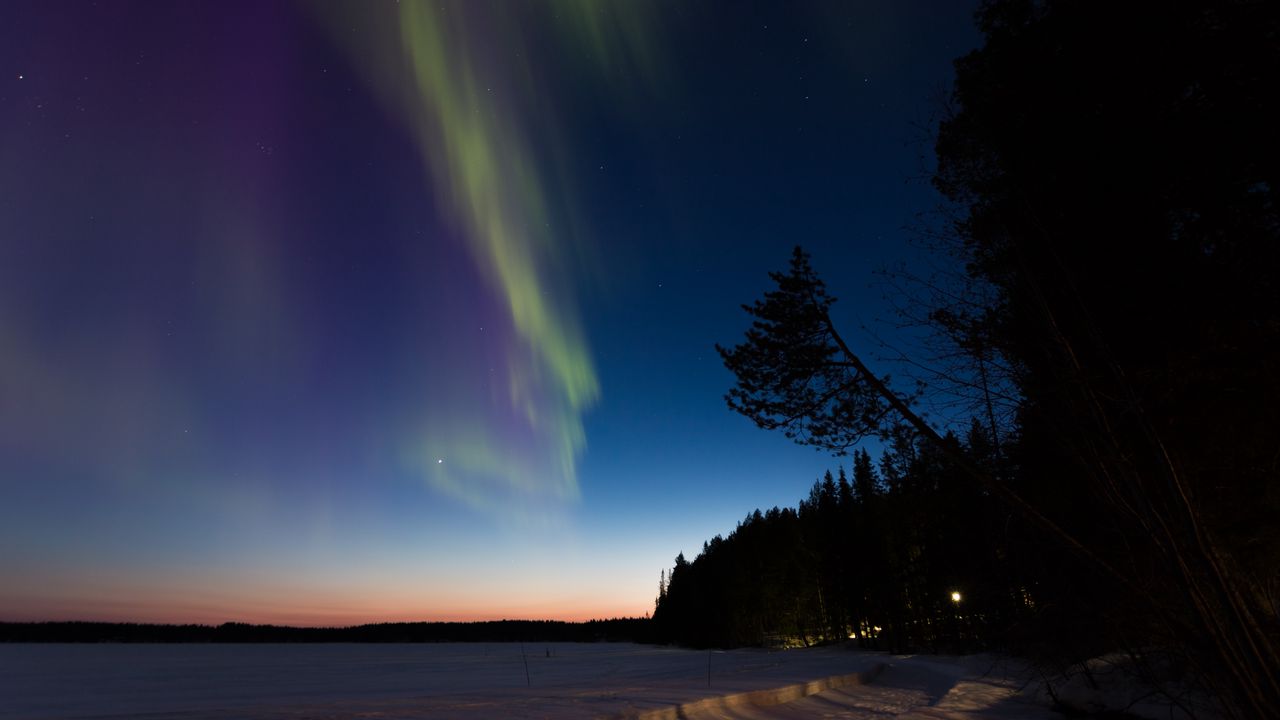 Wallpaper northern lights, winter, forest, night, trees