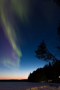 Preview wallpaper northern lights, winter, forest, night, trees