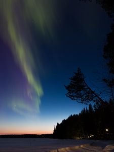 Preview wallpaper northern lights, winter, forest, night, trees