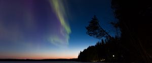 Preview wallpaper northern lights, winter, forest, night, trees