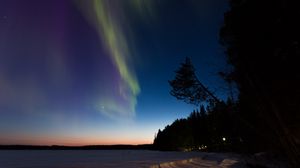 Preview wallpaper northern lights, winter, forest, night, trees