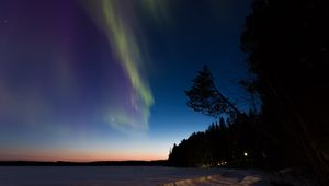 Preview wallpaper northern lights, winter, forest, night, trees