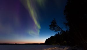 Preview wallpaper northern lights, winter, forest, night, trees