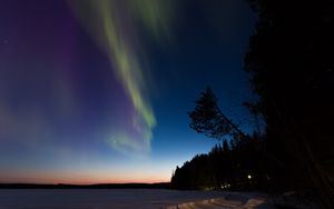 Preview wallpaper northern lights, winter, forest, night, trees