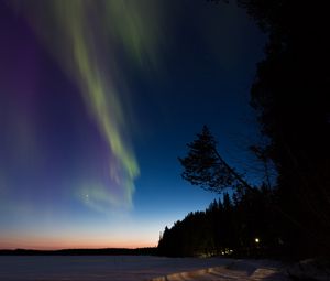 Preview wallpaper northern lights, winter, forest, night, trees