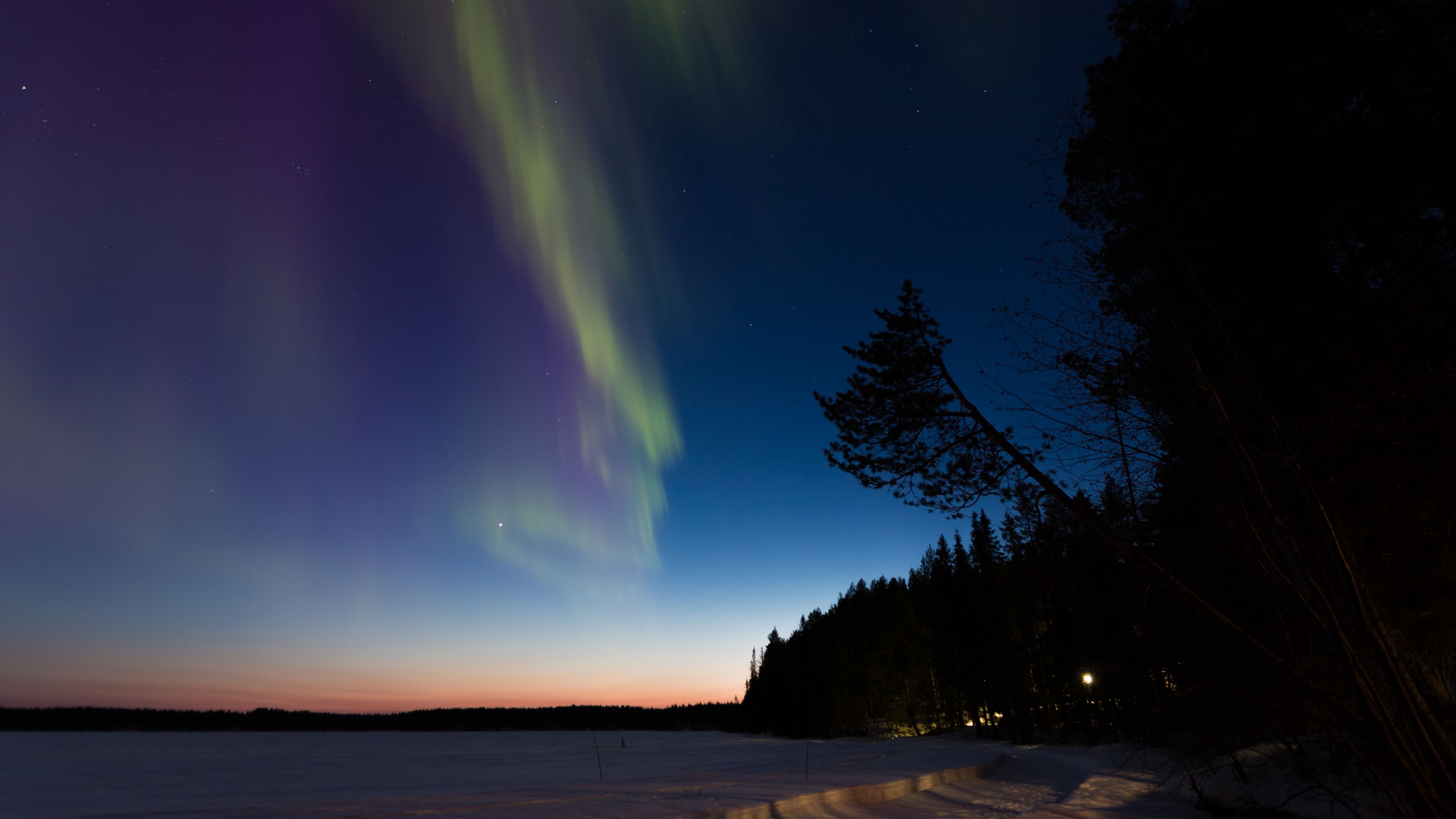 Download wallpaper 3840x2160 northern lights, winter, forest, night