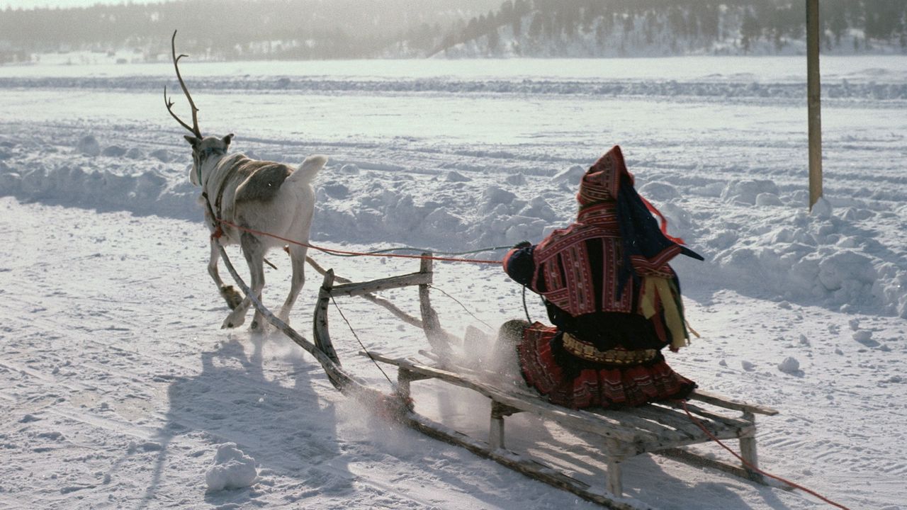 Wallpaper northern pole, eskimo, sledge, deer, transport, snow