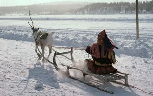 Preview wallpaper northern pole, eskimo, sledge, deer, transport, snow